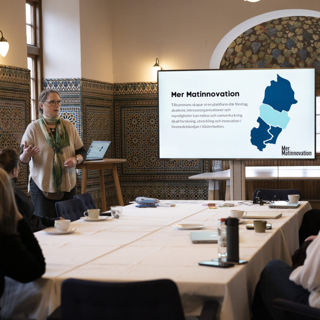 Kvinna står och pratar framför en grupp med en presentation igång.