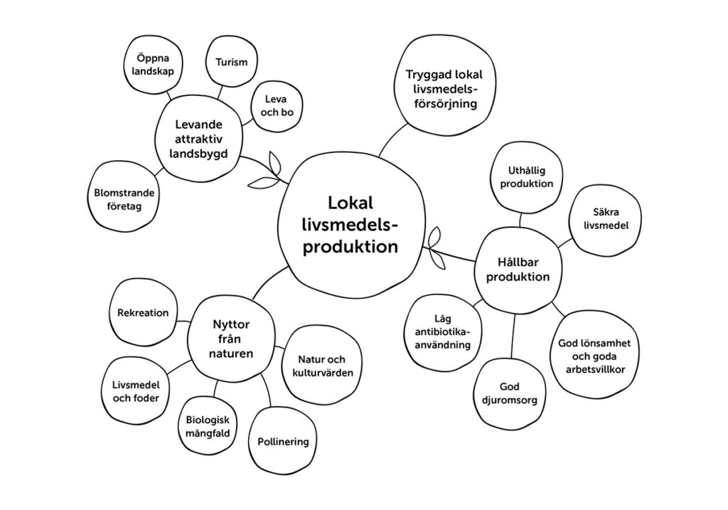 Illustration över de olika mervärden som genereras vid lokal livsmedelsproduktion